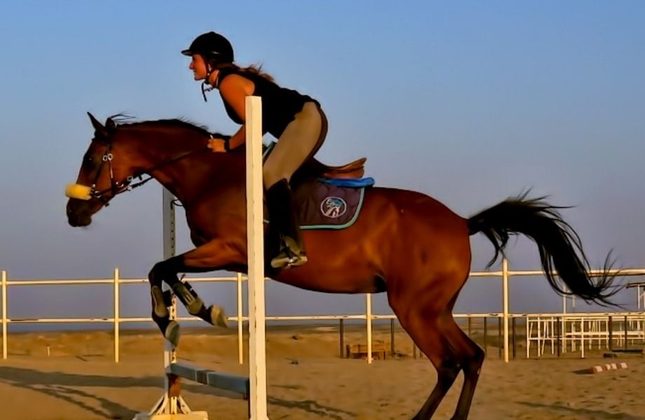 egypt-equestrian-dream-16-209.jpg